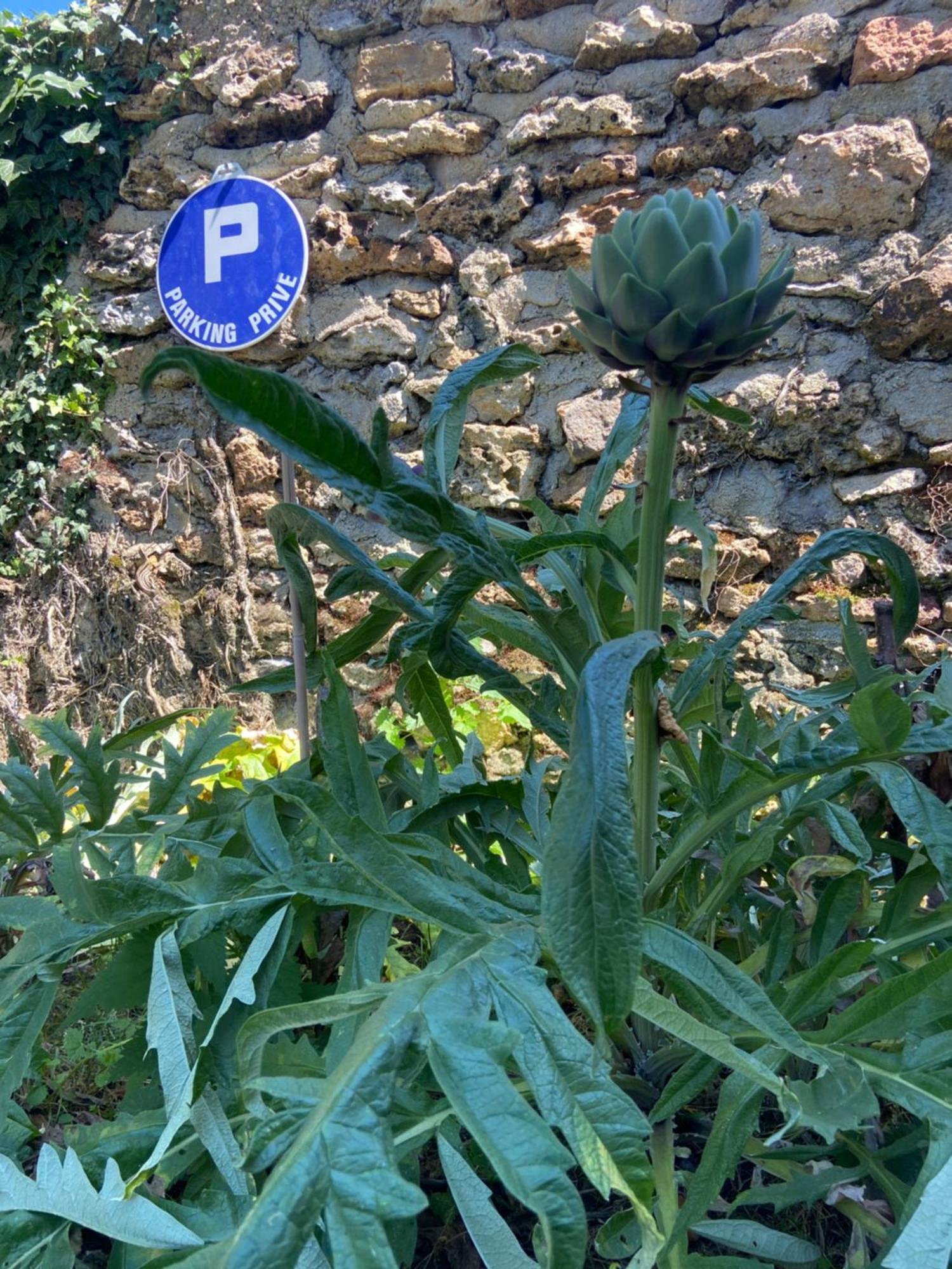 La Petite Maison Dans La Brie Villa Guérard Esterno foto